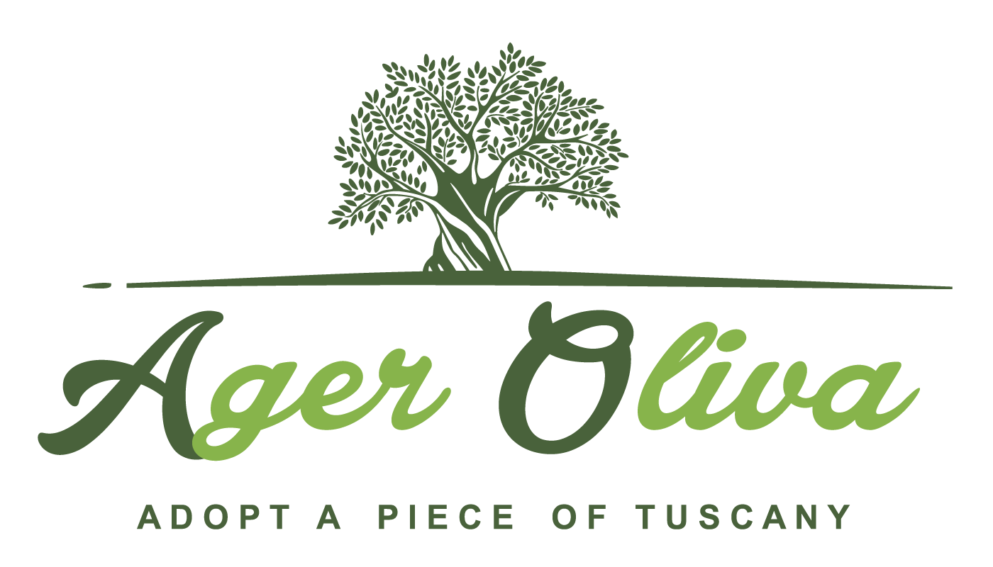 Ager Oliva